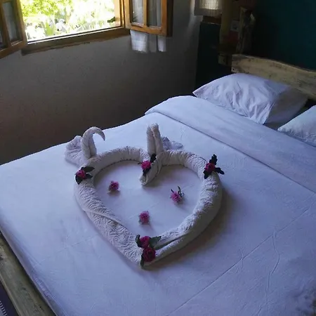 Otel Wood House 3*
