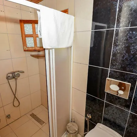 Otel Wood House 3*